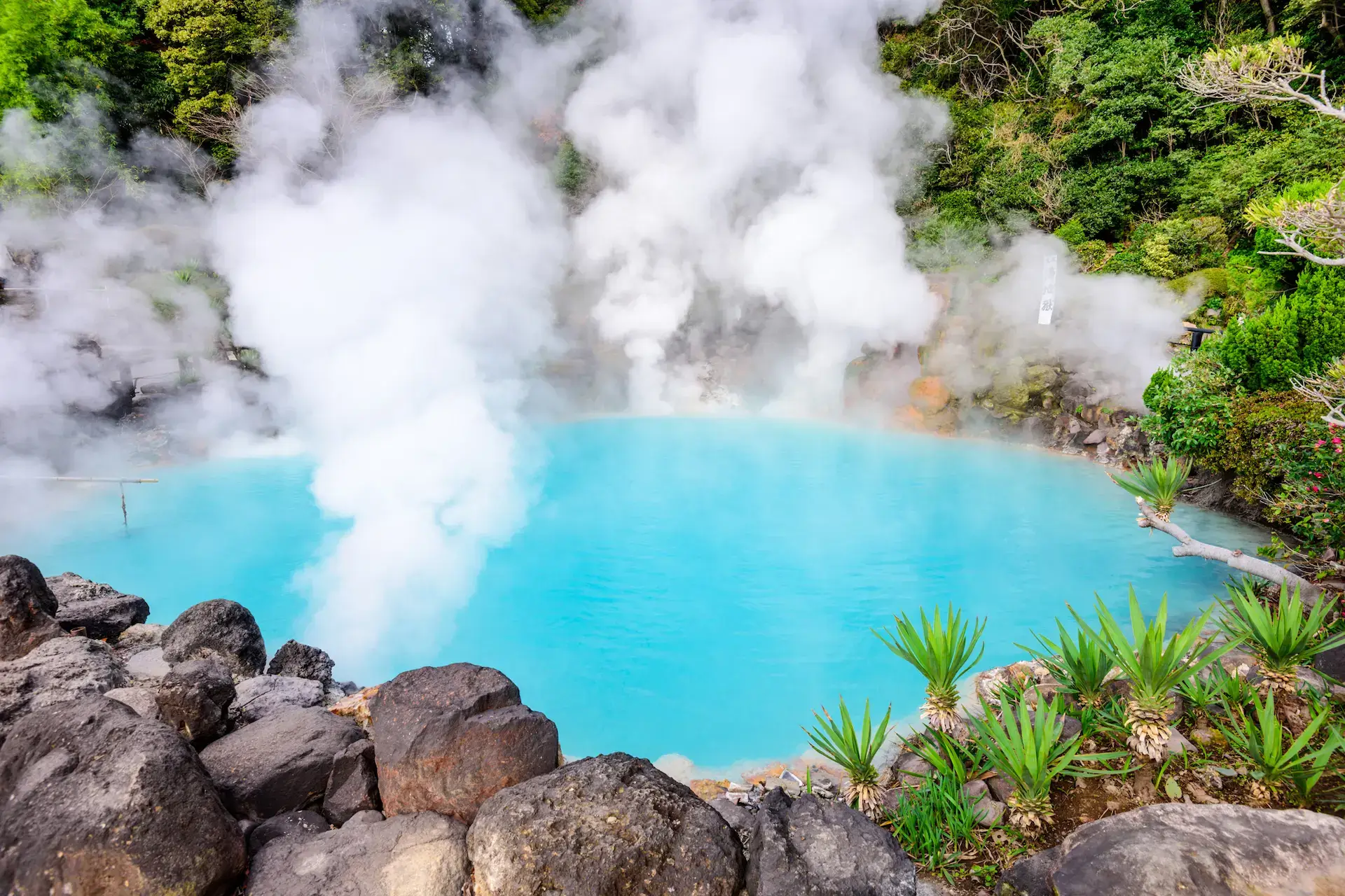 Beppu Hells hotspring steaming and surrounded by lush greenery