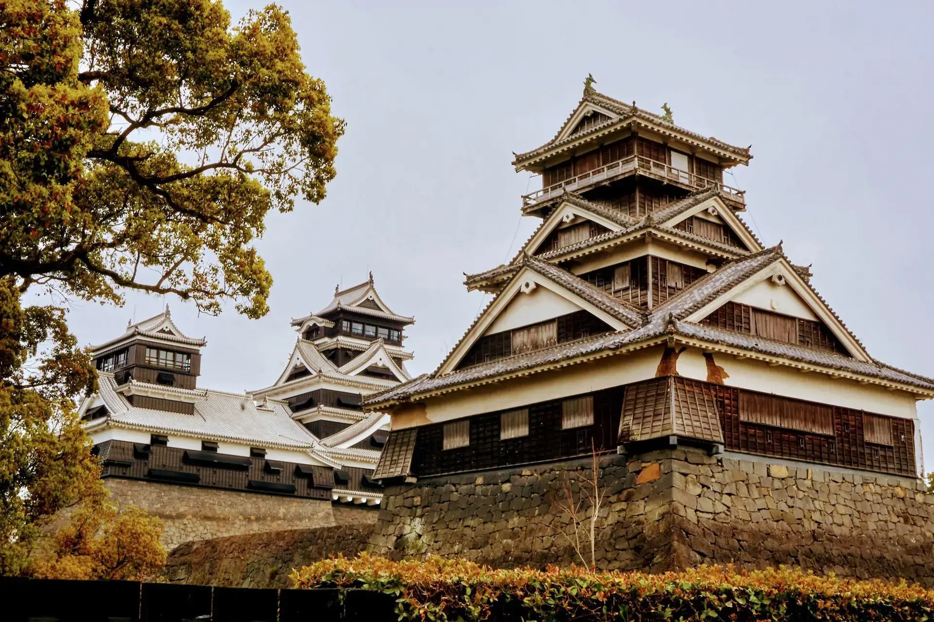 Kumamoto Castle flanked by yellow autumn leaves