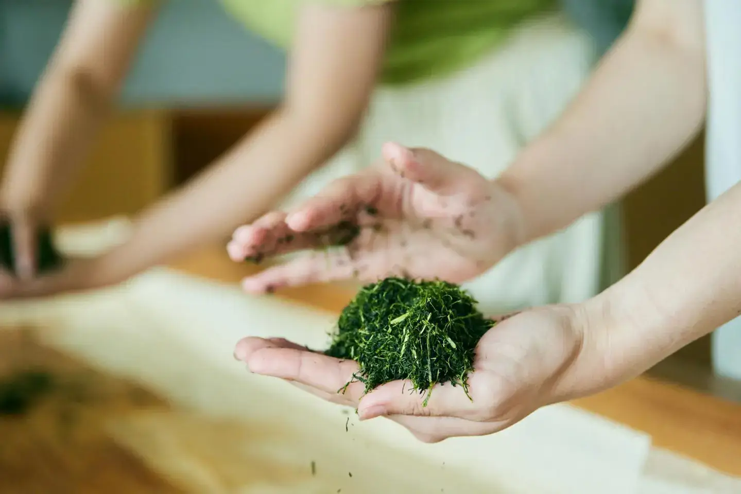 A person's hands visible as they prepare fresh green tea leaves by hand